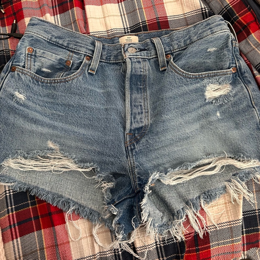 American Eagle Outfitters Distressed Light Blue Denim Cutoff Shorts